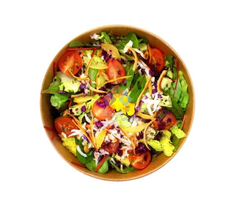 Salade Conception Avocat Agrumes