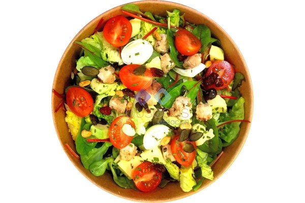 Salade Conception Multi Saveurs