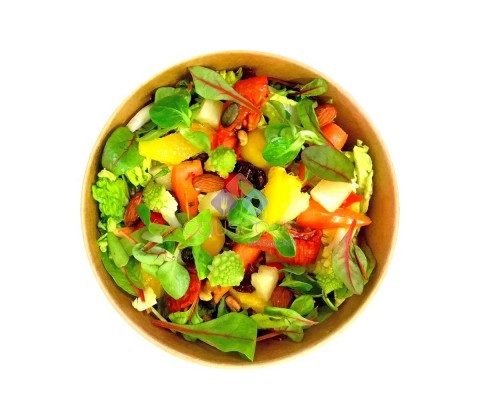 Salade Conception cruditées et Croquants