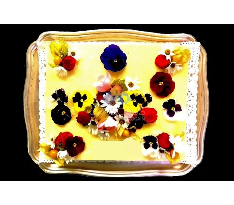 Entremet Mangue Passions