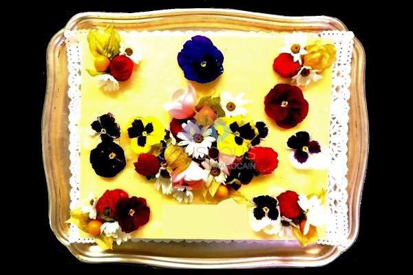 Entremet Mangue Passions